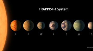 Odkryto siedem egzoplanet podobnych do Ziemi w układzie TRAPPIST-1