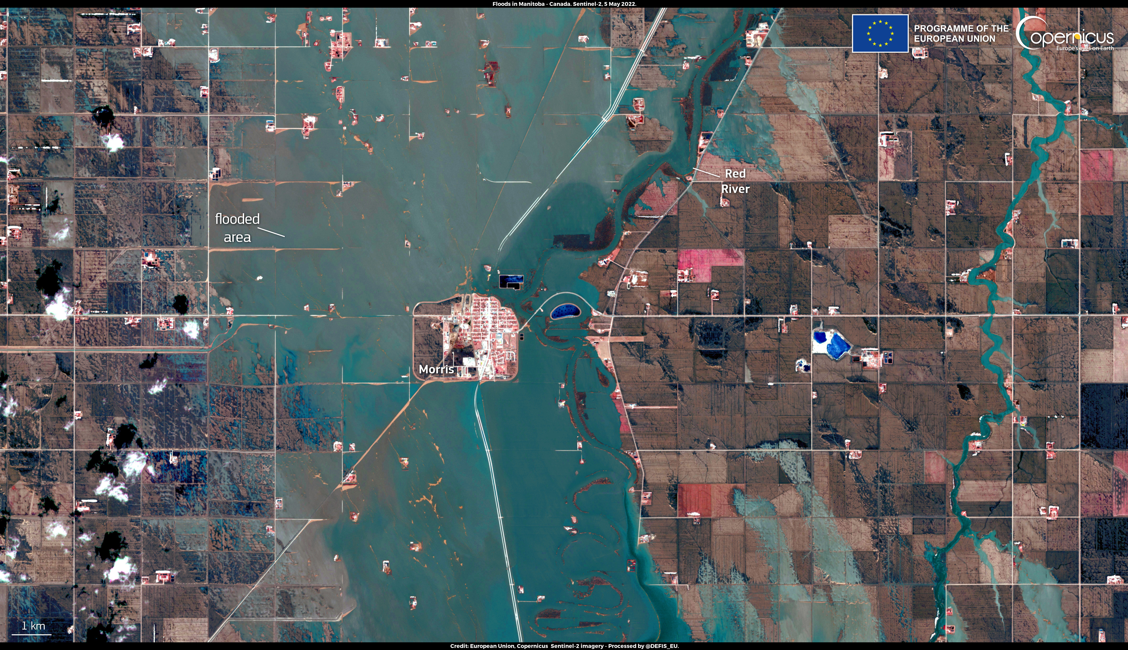 Obraz powodzi na południu kanadyjskiej prowincji Manitoba, uchwycony przez satelitę Sentinel-2 w dn. 5 maja br. Na środku zdjęcia widać miasto Morris, odizolowane od otoczenia przez wody powodziowe.