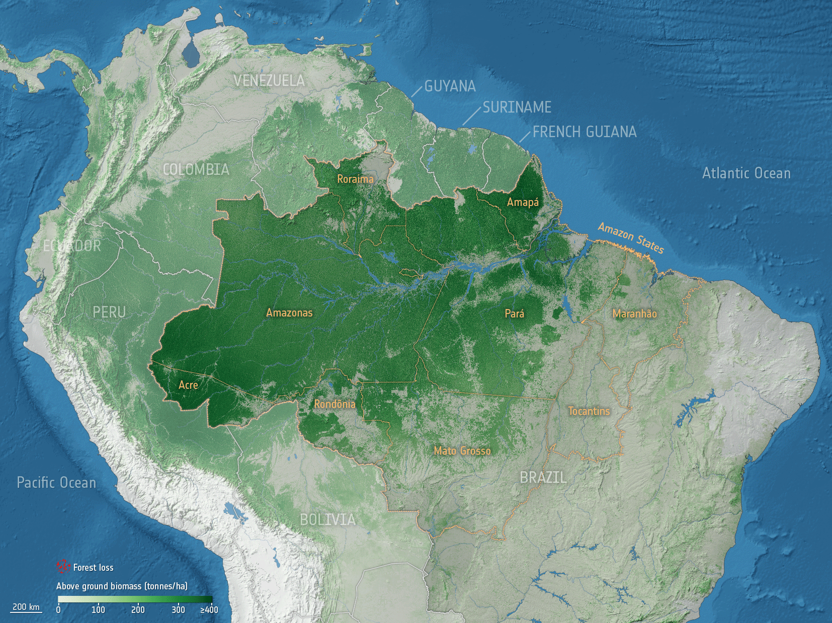 Animacja przedstawia utratę obszarów leśnych (pojawiające się obszary zaznaczone w na czerwono) w interwałach czasowych pomiędzy 2001-2020 r.